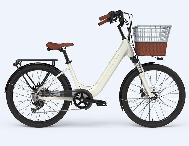 Individuelles Elektrofahrrad 24 Zoll