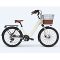 Customized Electric Bike 24 Inch