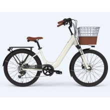 Customized Electric Bike Battery 48v