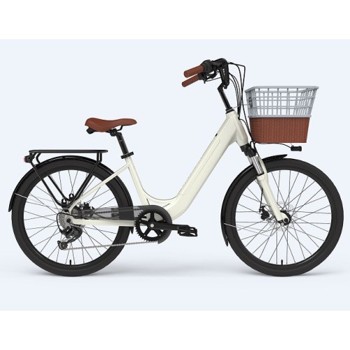 Individuelles Elektrofahrrad 24 Zoll