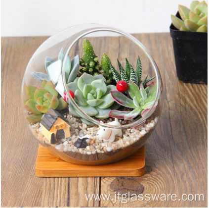 Hand Blown Faceted Glass Succulent Terrarium Geometric