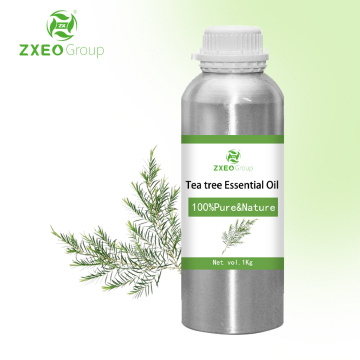 100% puro de materia orgánica natural árbol de té Aceite esencial al por mayor en la gran cantidad de Qulity Distill Distill El árbol de té extractivo Aceite esencial
