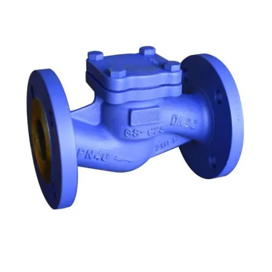 Stainless steel Lift check valve