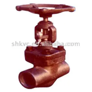 Forged Gate Valve