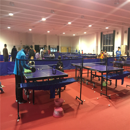 Table Tennis Sport Floor