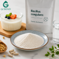 Polvo de bacilo coagulano de alta potencia