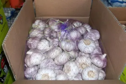 Normal white garlic whole garlic