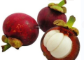 Ekstrak Mangosteen Ekstrak Buah Buah