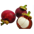 fruit extract powder Mangosteen Extract