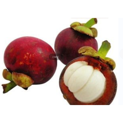 fruit extract powder Mangosteen Extract