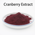 Cranberry -Extrakt organischer Cranberry -Frucht -Extraktpulver