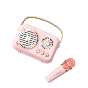 High-End KTV Speaker Set for Quality Outdoor Karaoke and Home Parties