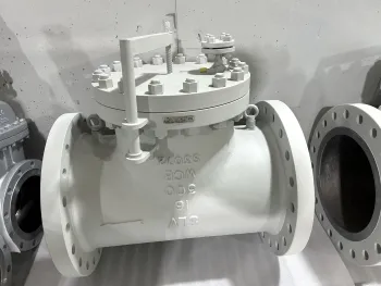 DNV inspection passed T type strainer