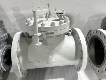 DNV inspection passed T type strainer