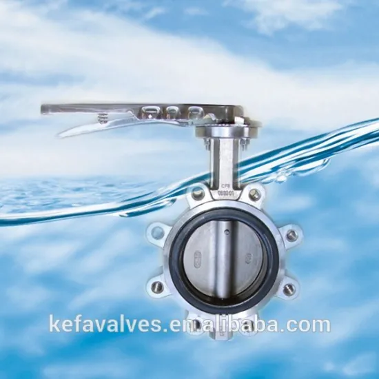 Lug type butterfly valve with pin