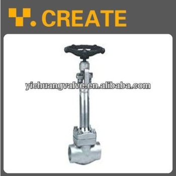 Forged Steel Cryogenic Globe Valve