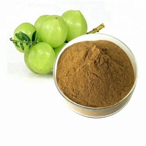 Organic Phyllanthus Emblica Extract Gallic Acid