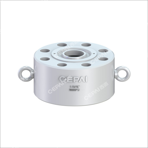 Dual Plate Check Valve
