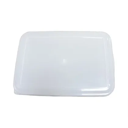 LidRectangular Plastic Hotel Food Kitchen Fresh