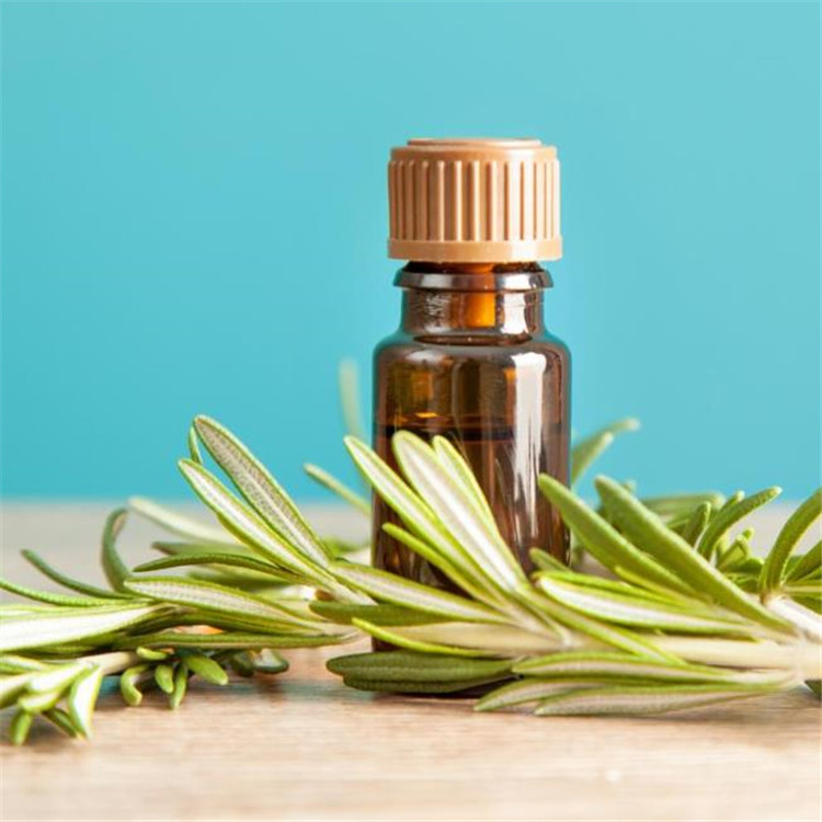 Rosemary + Essential + Oil Pure &amp; Natural