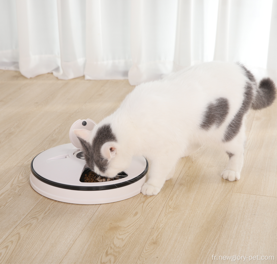 6 mines Automatiques d&#39;aliments pour animaux de compagnie humides et secs