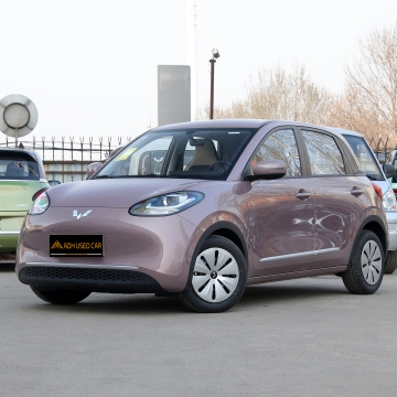 Aodahang New Energy Used Cars with LED Camera and Leather Interior