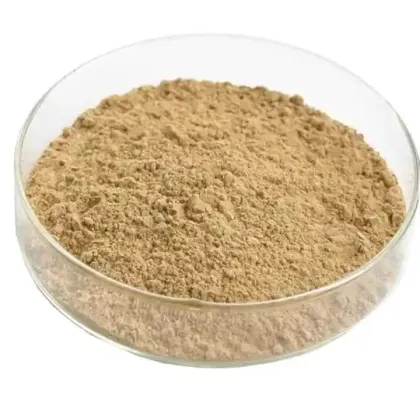 High-Quality Selenium Enriched Yeast: A Nutritional Supplement for Enhanced Health Benefits