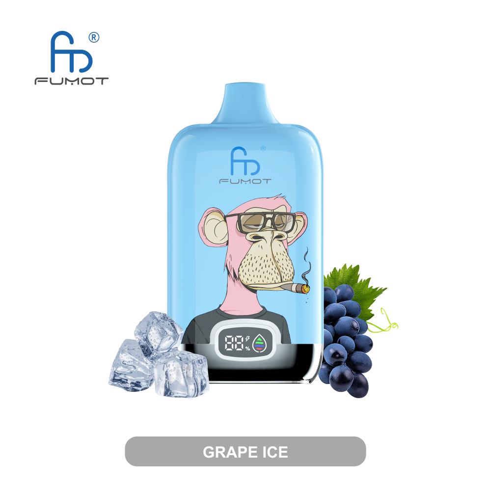 Fumot Digital Box 12000 Puff