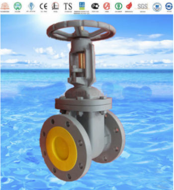 MSS/ANSI SP-70 Rising or Non-Rising Stem Flanded Endscast Iron Gate Valve