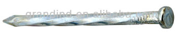 1004 Nail