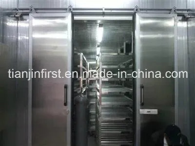 Low Thawing Machine for Fish Meat
