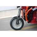 Triciclo elétrico de carga para montanha de alto torque OEM