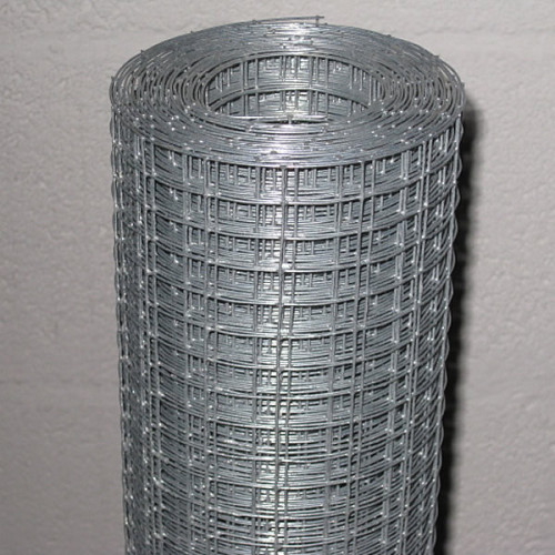 Galvanized Welded Wire Mesh From China Manufacture