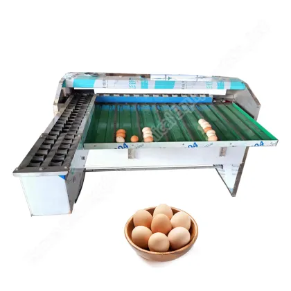 Stainless Steel Egg Sorter Machine for Chicken Farms