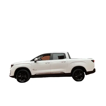 2023 Geely Radar Horizon 410km Edition Battery EV