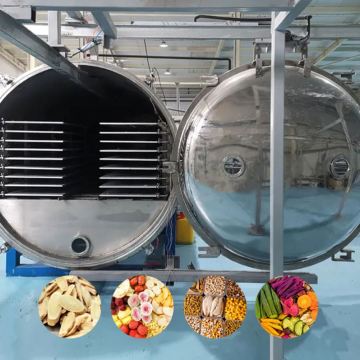 Fruit and Vegetable Freeze Dry Machine - Lyophilizer