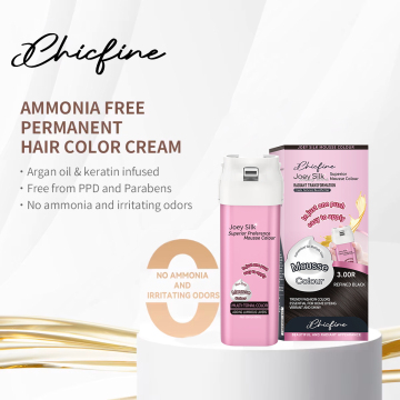 Professional OEM ODM Natural Permanent Herbal Hair Dye Mousse for Salons