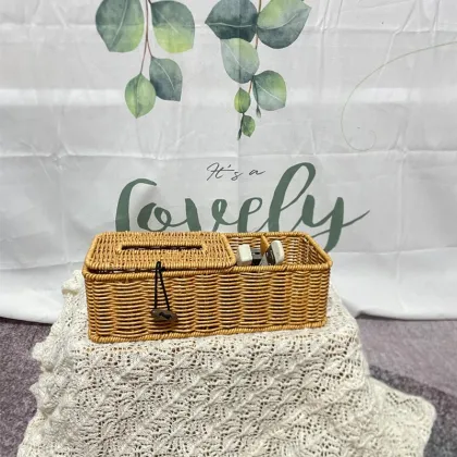 PP Plastic Double-Compartment Tissue Box - Simple Home Storage Solution