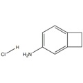 4-amino-benzocyclobutanehydrochloride CAS n ° 1810070-03-1