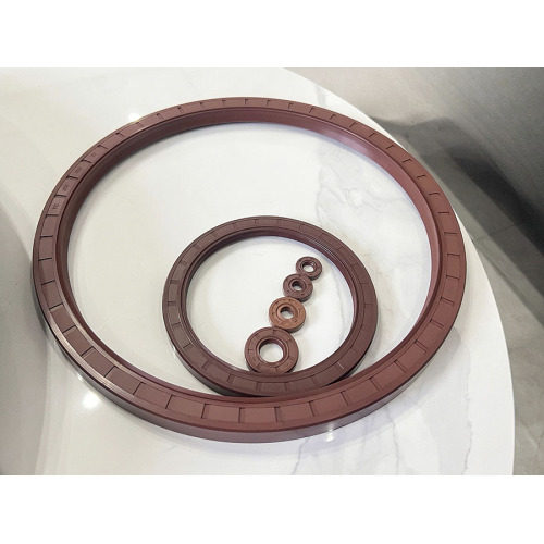 Segel minyak kerangka Fluorogar