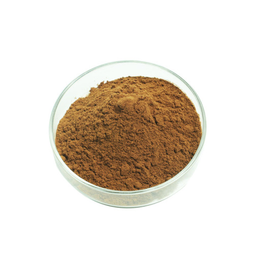 Magnolia Bark Extract Powder Astragalus Root Extract Astragalus Polysaccharide 50% Supplier