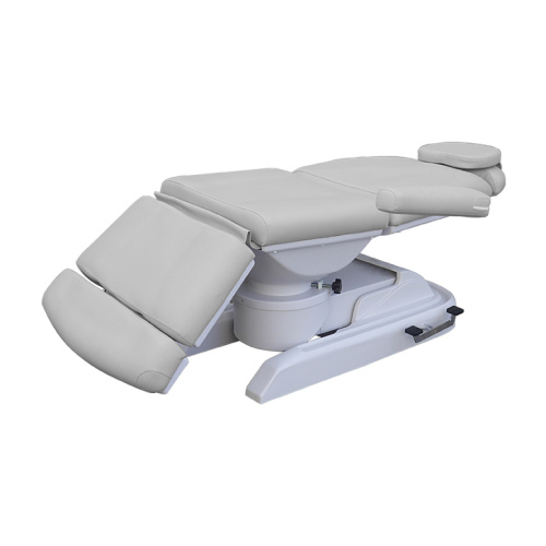 Wholesale Electric Facial Massage Bed For Sale TS-2137A