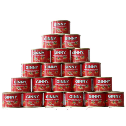 Colagem de tomate em conserva de concentração dupla com marca GINNY