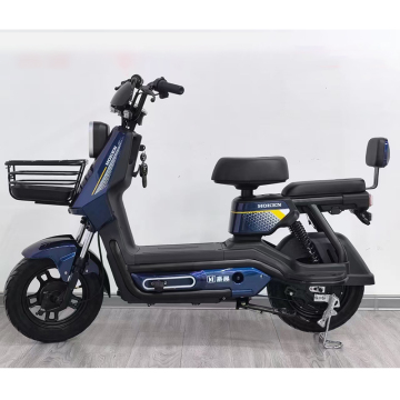 Wholesale 48V 350W High Performance Two-Seater Electric Bicycle Motorcycle