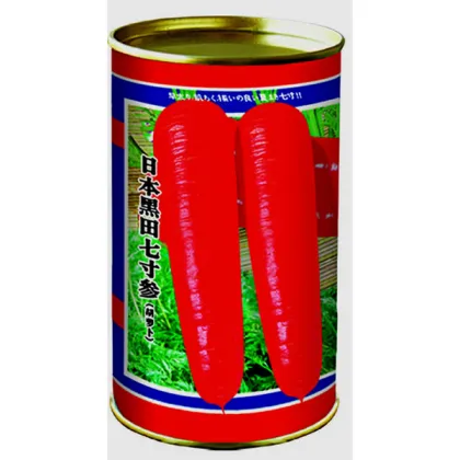 Japan Kuroda 7 Inches Carrot Seeds-Heirloom Vegetable Seeds