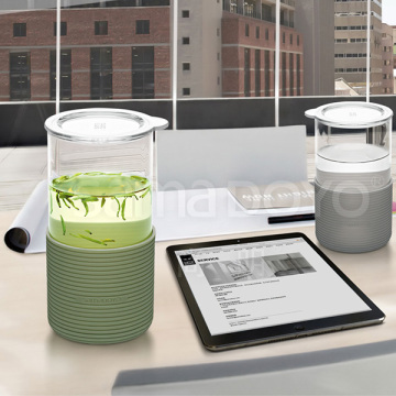 450ml Samadoyo clear glass tea cups with lid modern design