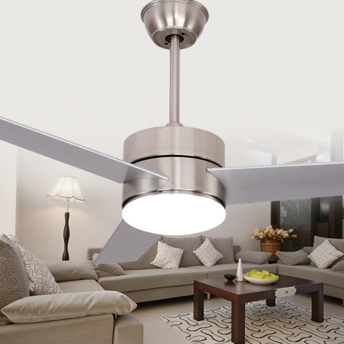 LEDER Electric Small Standard Lamps