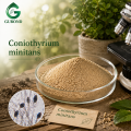 Coniothyrium Minitans Spore Powder فطريات التحكم البيولوجي