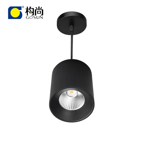 20W Suspended Black Circle LED Pendant Light for Office and Restaurant