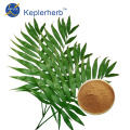 Bamboo Leaf Extract Powder